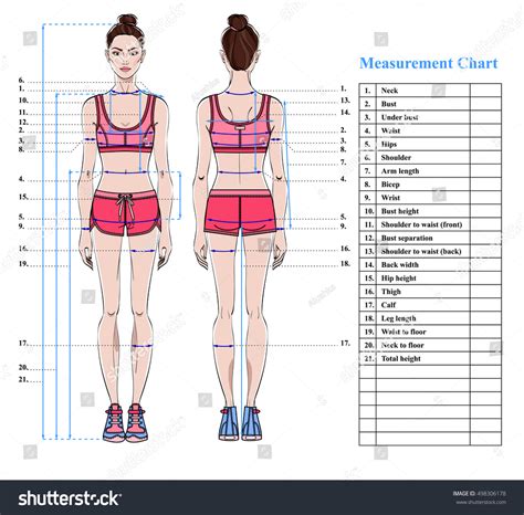 Analyzing Cloé's Figure and Body Measurements