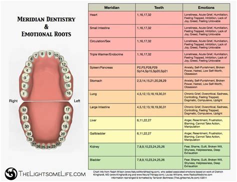 Analyzing Emotions and Feelings Associated with Tooth Loss Dreams