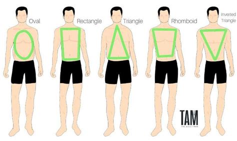 Analyzing Tyler Lynn's Physique and Body Type