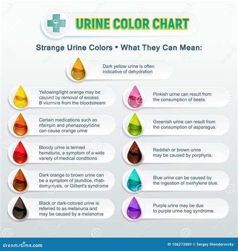 Analyzing the Connection between Urination and Emotional Release