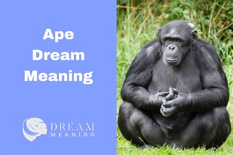 Analyzing the Cultural and Historical Significance of Dreams Involving Pursuit of an Ape: Uncovering the Veiled Symbolism and Cultural Context