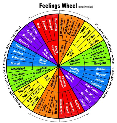 Analyzing the Emotions: Anxiety, Repulsion, or an Unsettling Sensation?