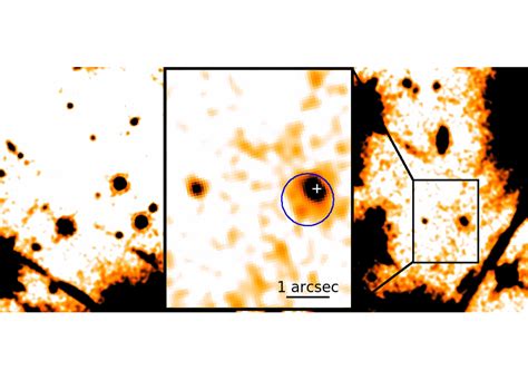 Analyzing the Physique of the Enigmatic Star