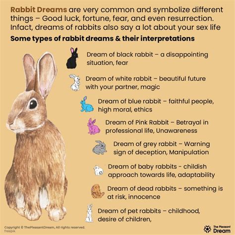 Analyzing the Possible Meanings of a Dream Featuring a Rose-Colored Bunny