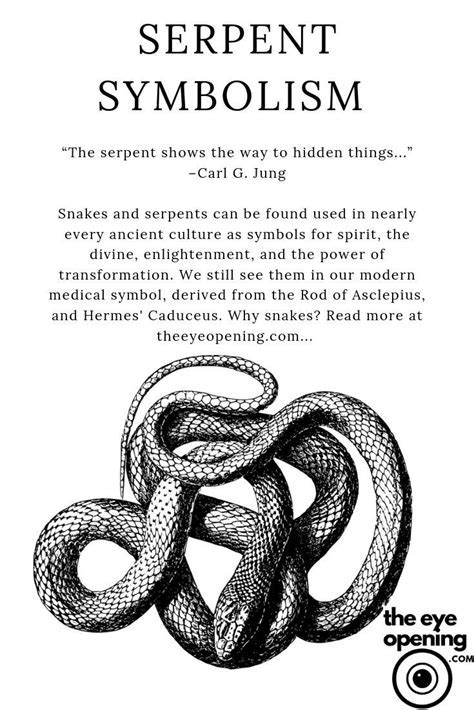 Analyzing the Psychological Interpretation of Dreams Involving Aquatic Serpents