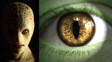 Analyzing the Psychological Interpretations of Reptilian Ocular Enigmas