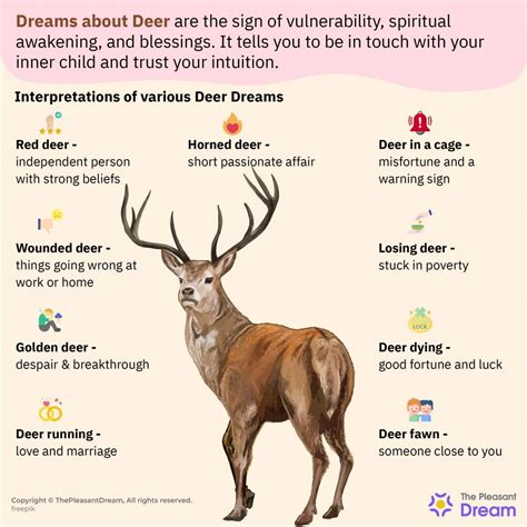 Analyzing the Role of Deer Hemorrhaging Dreams in Personal Growth