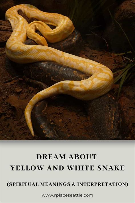 Analyzing the Significance of Snakes with Shades of Orange and Yellow in Dream Interpretation