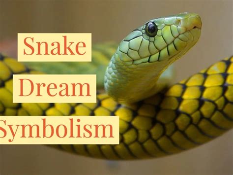 Analyzing the Symbolism of Serpents in Dreams