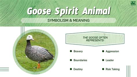 Animal Symbolism: The Significance of the Goose and its Connection to Your Dream