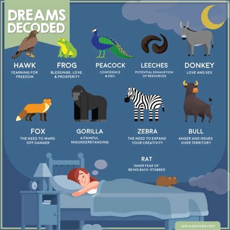 Animal Symbols in Dream Interpretation: Decoding the Meaning