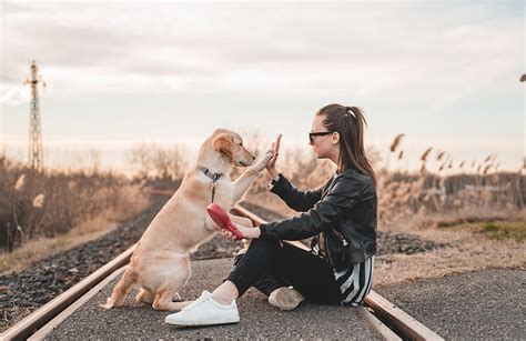 Animalistic Love: Exploring the Profound Bond Between Humans and Animals