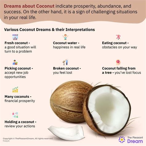 Applying Interpretations of the Coconut Seed's Dreams to Real-Life Situations