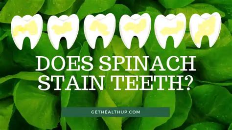 Are Spinach Stains Harmful to Your Teeth?