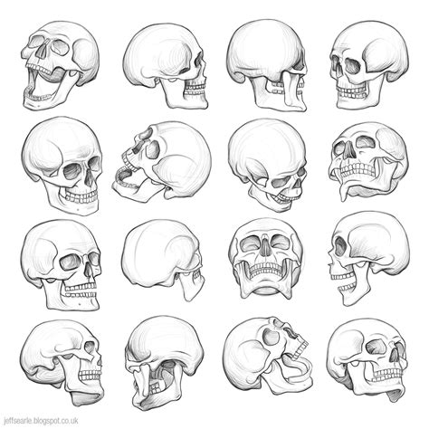Artistic Expressions: The White Skull in Various Art Forms