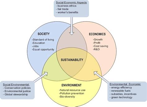 Assessing Your Lifestyle and Living Environment