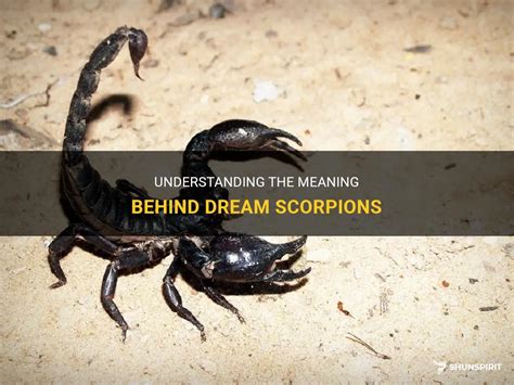 Assessing the Various Meanings behind Dreams Featuring Soaring Ebony Scorpions