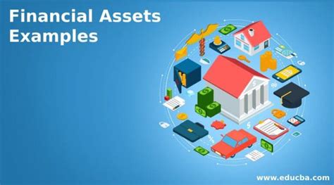 Assets and Financial Value of Aqua Hazel