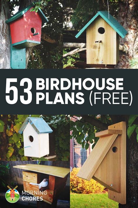 Attracting Wildlife: Enriching Your Garden with Birdhouses and Feeders