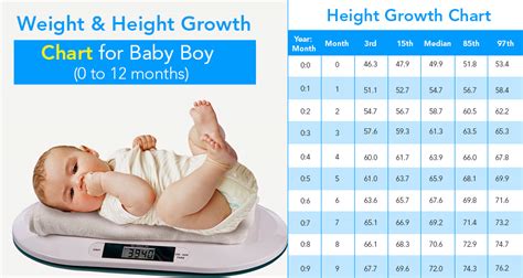 Baby Shine's Height and Body Measurements