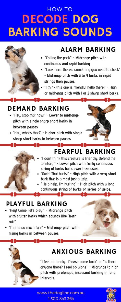 Barking in the Dreamworld: Deciphering the Significance of Vocalizations from Anxious Dogs