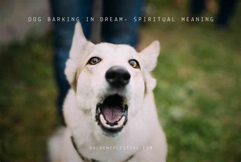 Barking or Biting: Exploring the Significance of Canine Actions in Aggressive Dreams