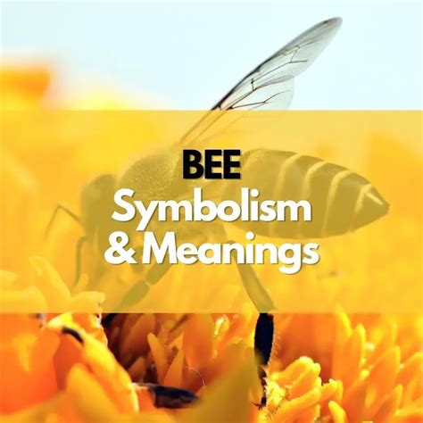 Bee Symbolism in Various Cultures and Its Impact on Dream Analysis