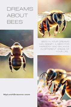 Bees: Unlocking the Deeper Significance in Subconscious Visions