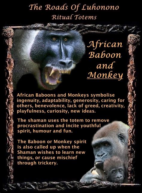 Beyond Dreams: Baboons as Spirit Animals and Totems
