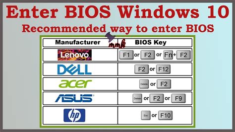 Bio's Key Information and Overview