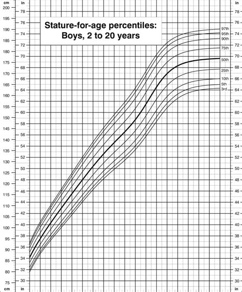 Biographical Details of the Individual: Years, Stature, Physique