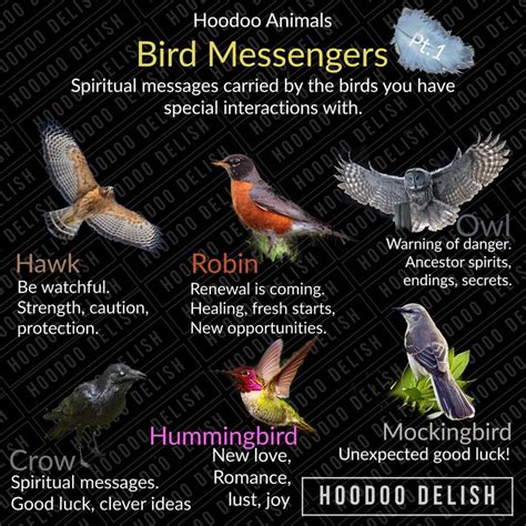 Bird Landings as Messengers: Decoding the Messages they Carry