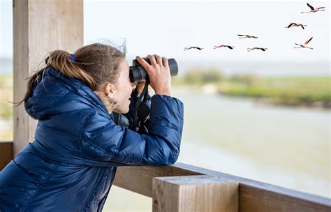 Bird-Watching: An Instrument for Wildlife Conservation