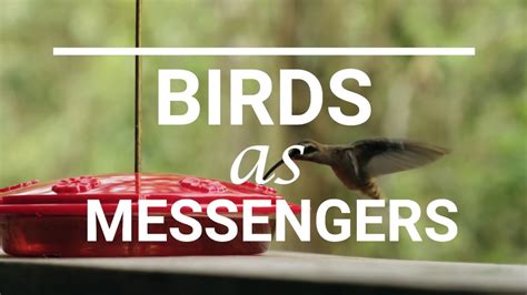 Birds as Messengers: Unveiling Hidden Messages in Dreamscapes