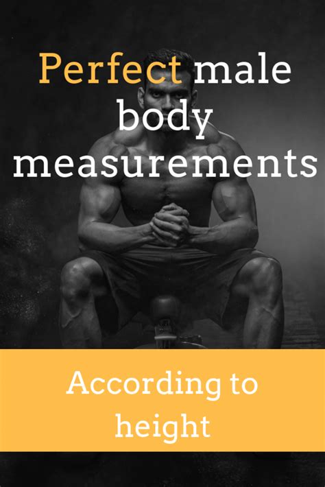 Body Measurements Objectives: Achieving Ideal Physique Metrics