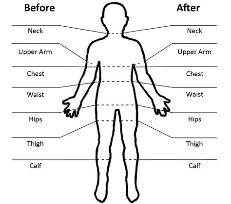 Body Measurements of Ebin