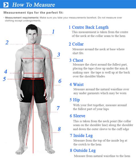 Body Measurements of the Famous Personality