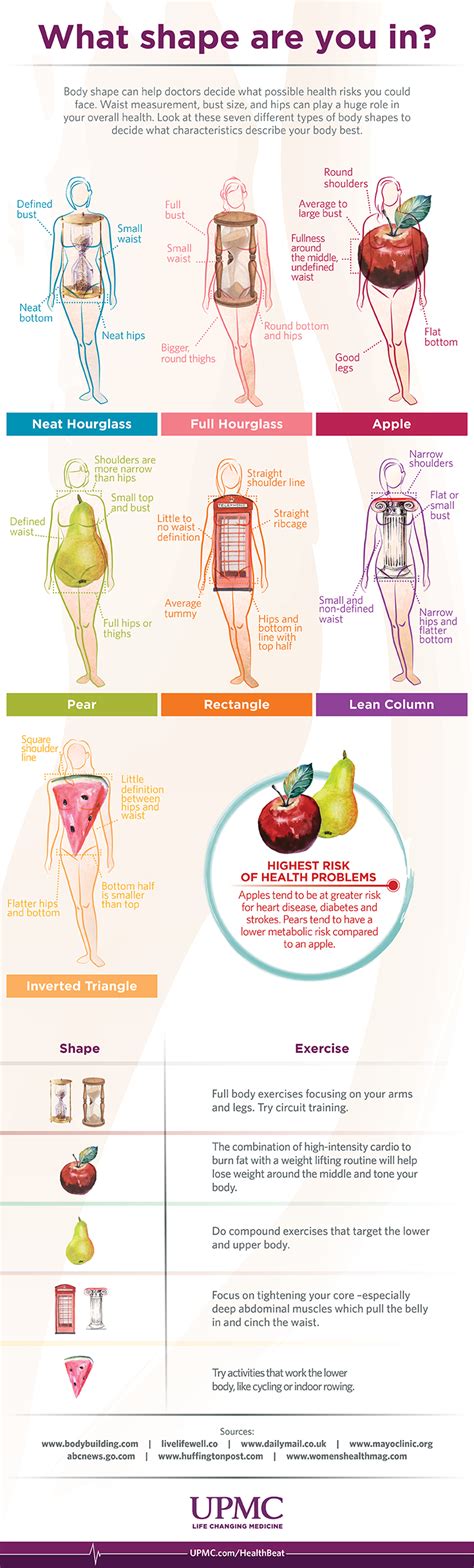 Body Shape and Nutrition