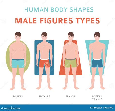 Body Shape and Size Description