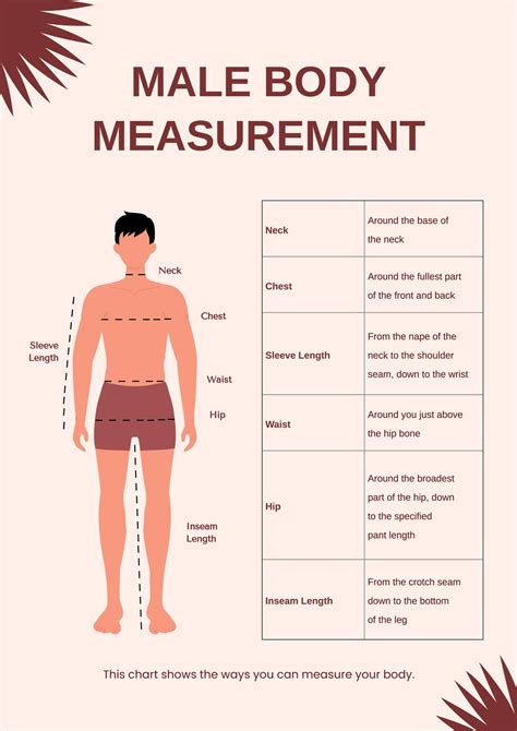 Body Statistics and Measurement