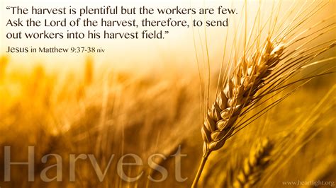 Bread: The Key to a Plentiful Harvest