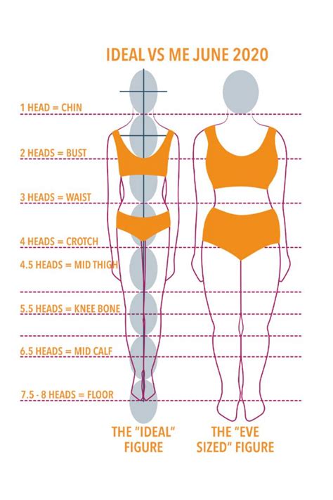 Breaking Down Curvy Lady's Physique: Body Proportions