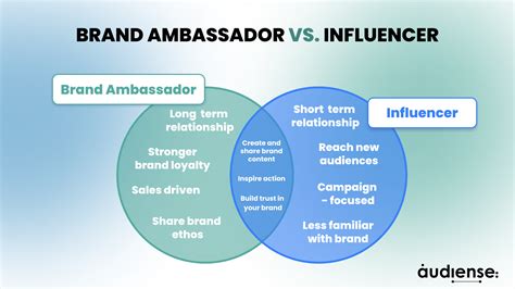 Breaking Down the Wealth and Assets of the Influencer