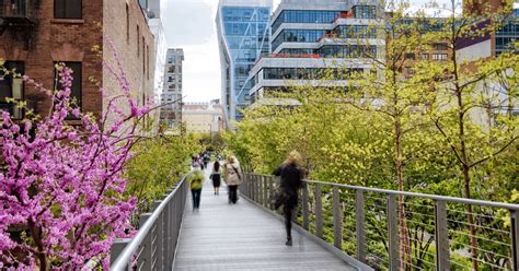 Bringing Nature's Green Marvel to Urban Spaces: Creating Urban Oasis