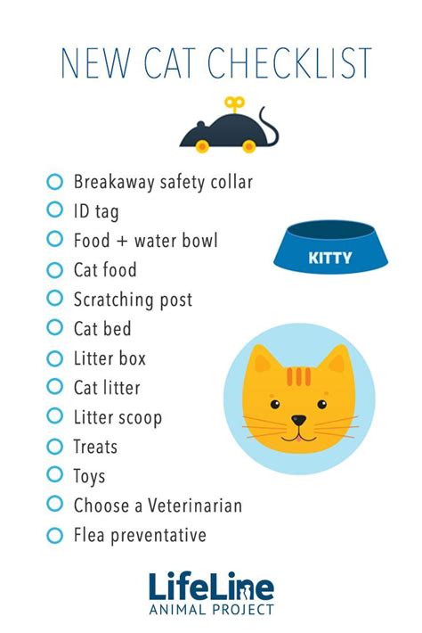 Bringing a Feline Canine Home: Vital Information for Adopting a Kitty Pup