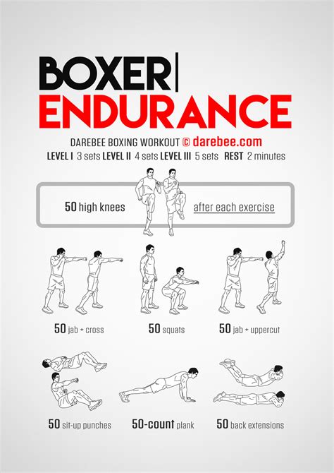 Building Strength and Endurance: Training Regimens for Boxers