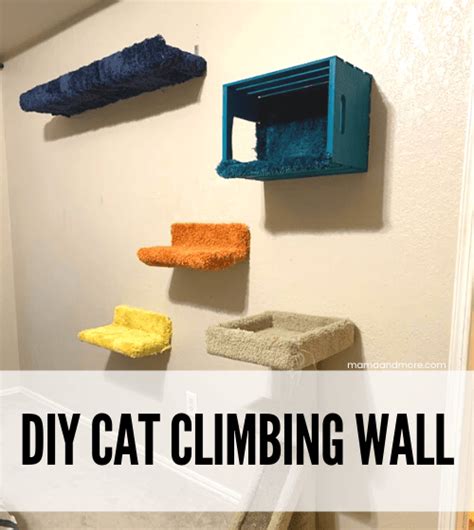 Building Your Own DIY Cat Climbing Wall: Step-by-Step Guide