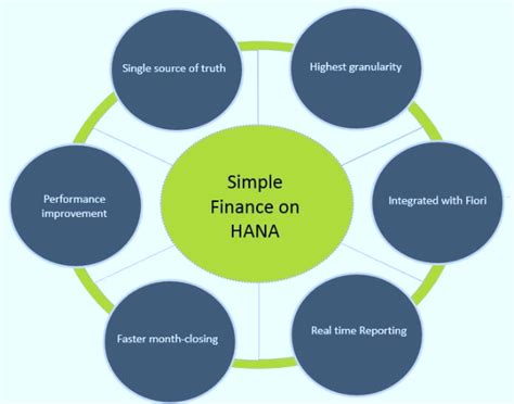 Calculating Hana's Wealth and Assets