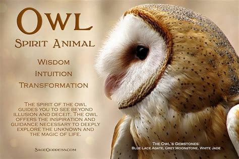 Calling for Awareness: The Owl's Message in Your Dream and Its Possible Impact on Your Waking Life