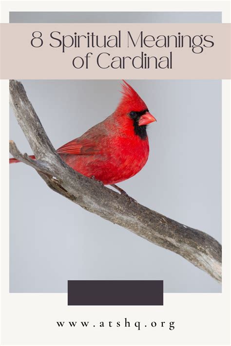 Cardinals as Messengers: Unveiling the Symbolic Messages in Cardinal Dreams